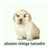 abueno chinga tumadre