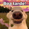 Boa tarde!