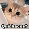 Qué haces?