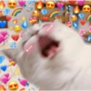Gatitos con corazones 6