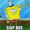 o+ SIAP BOS