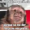 🐒 Macaco pra Reagir 6
