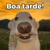 Boa tarde!