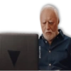 MEMES HAROLD THE PAIN 11