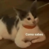 Como sabes