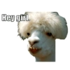Hey girl.