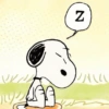 🦴🏠 SNOOPY 🏠🦴 30