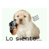*pum*
*pum*
*pum*
Lo siento...