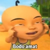 Bodo amat