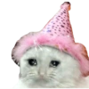 Michis Sad 15
