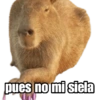 Capybara 2 6