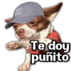 Te doy puñito