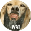 Memes de animais 4 10