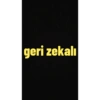 Türkçe 17