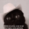 ✔️MEMESITOS QUE NECESITAS 2 🤭 13