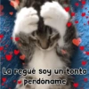 La regué soy un tonto perdóname