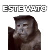 ESTE VATO