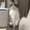 Standing Tall