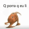 Q porra q eu li