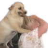 Ola mi vida 6