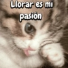 Llorar es mi pasión