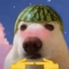 Ola mi vida 5