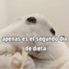 apenas es el segundo día de dieta