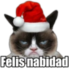 Payi Felis nabidad