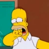 Homer Simpson Reações 11