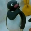 Memes do pingu 🐧🐧🐧 11