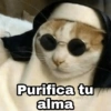 Purifica tu alma