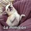 La mimisión