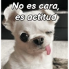 No es cara, es actitud
