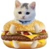 Olhas os gatinhos fofinhos 26