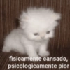 fisicamente cansado, psicologicamente pior