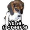 No se Si creerte