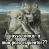 Lobo em pele de cordeiro 😏 9