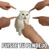 FUISTE TU PENDEJO