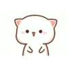 Kitten 20