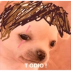 B TODIO!