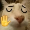 Memes 42 19