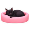 Emoji Iphone Pink 5