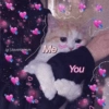 Gatitos con corazones 17
