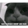 Petrik 29