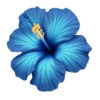 Emoji iPhone Blue 7