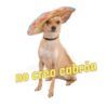 no creo cabrón