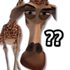 ??