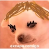 74 excapa comigo
