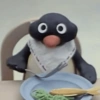 Pingu 🐧 16