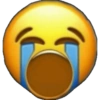 Memoji 23